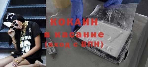 PSILOCYBIN Каменногорск